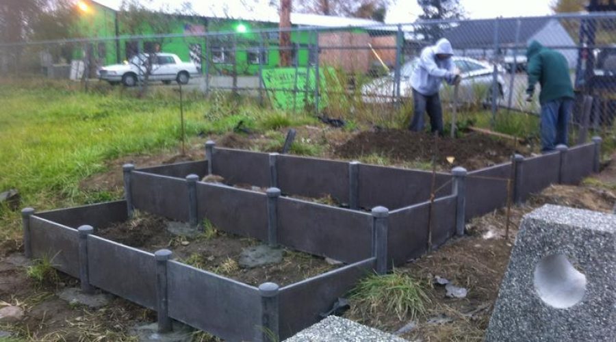 raised garden beds