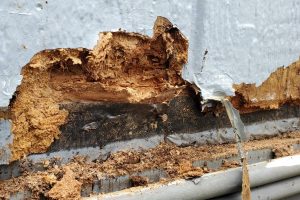 Mobile Home Skirting