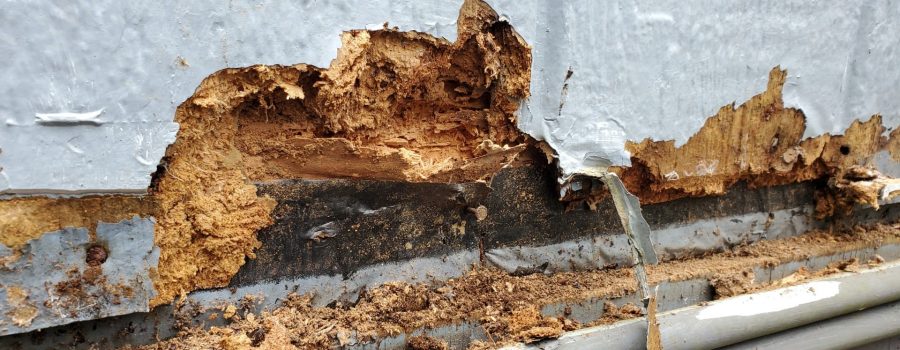 Mobile Home Skirting