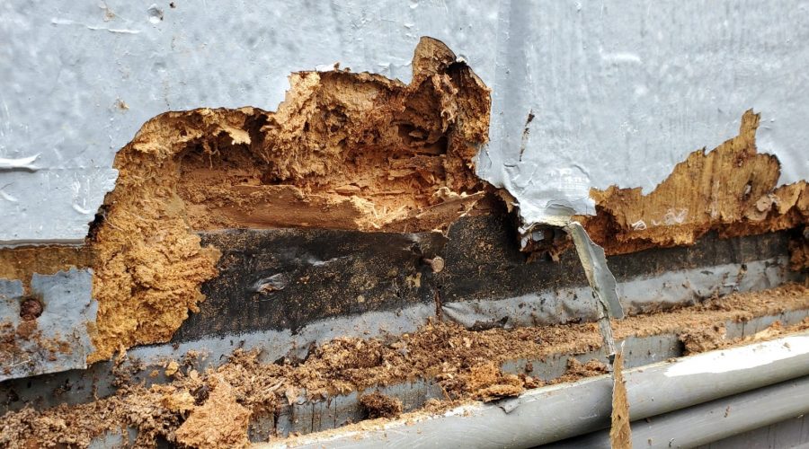 Mobile Home Skirting