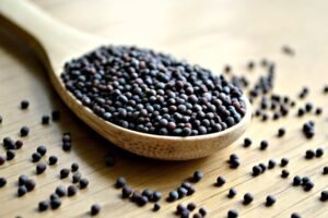 Mustard Seeds of Faith