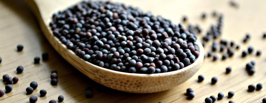 Mustard Seeds of Faith